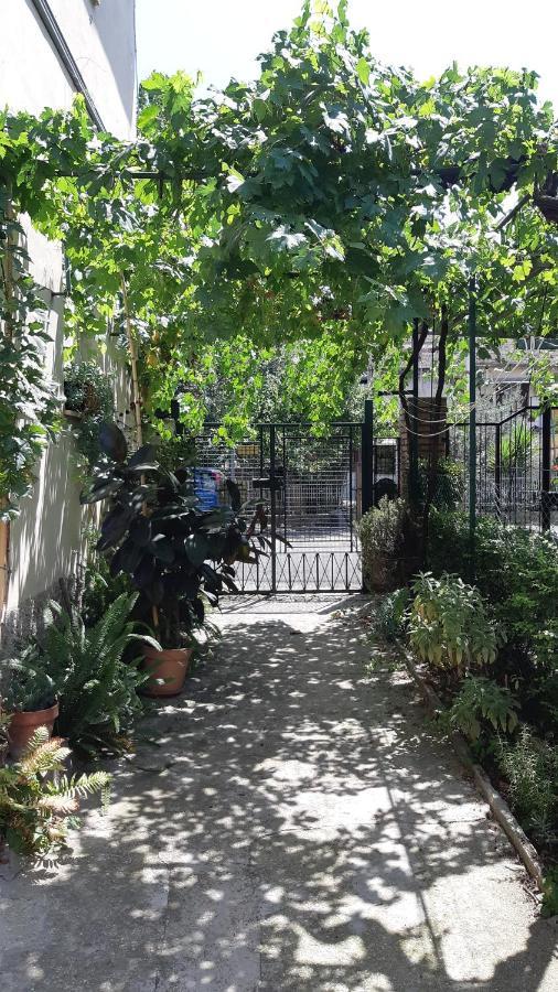 Casa Sofia - Appartamento Con Parcheggio Riservato Terni Exterior foto